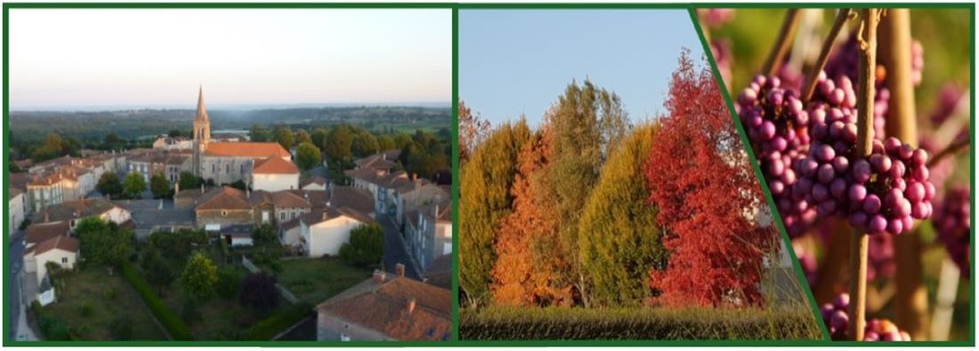 Le site officiel de la Mairie de Montemboeuf